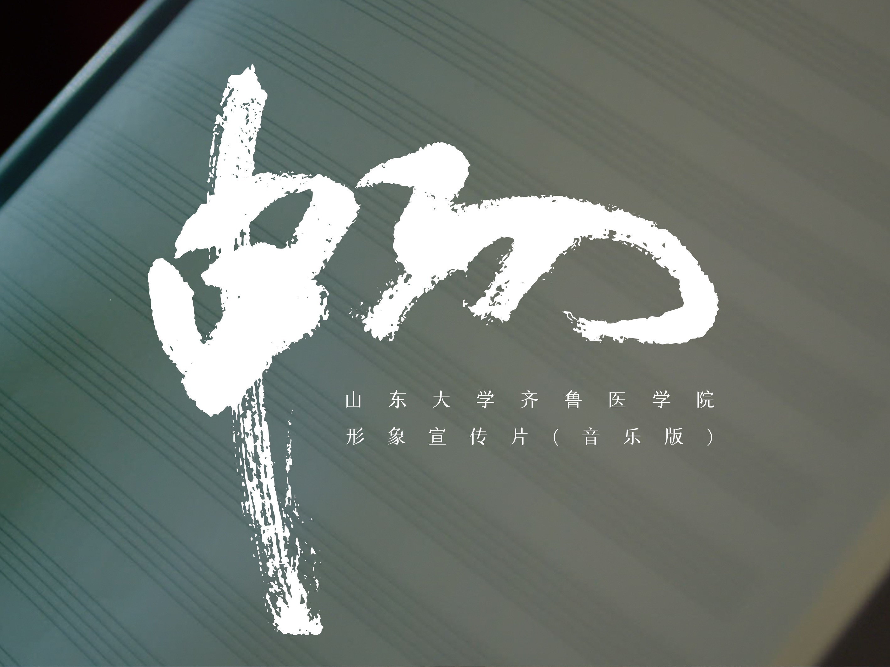 山东大学齐鲁医学院